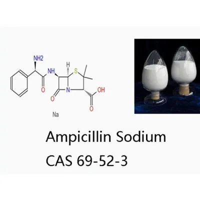 Antibiotika Veterinärmedizin Ampicillin Natriumpulver Cas 69-52-3